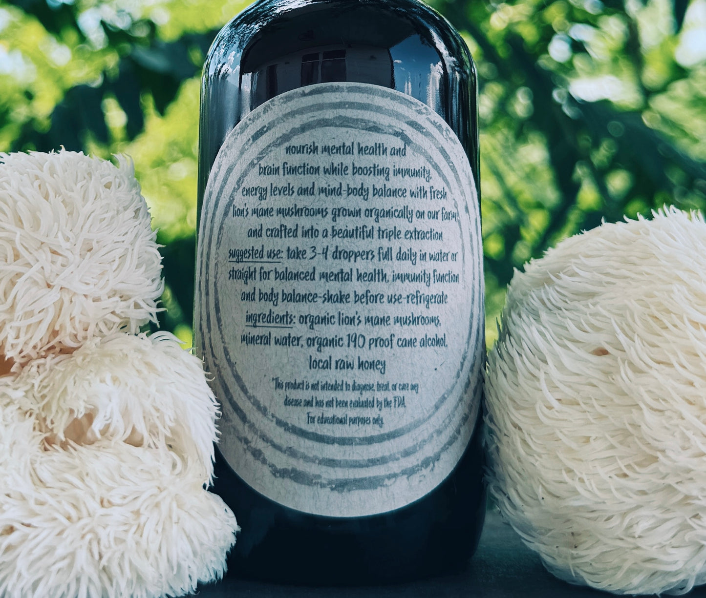 Lion’s Mane Extract