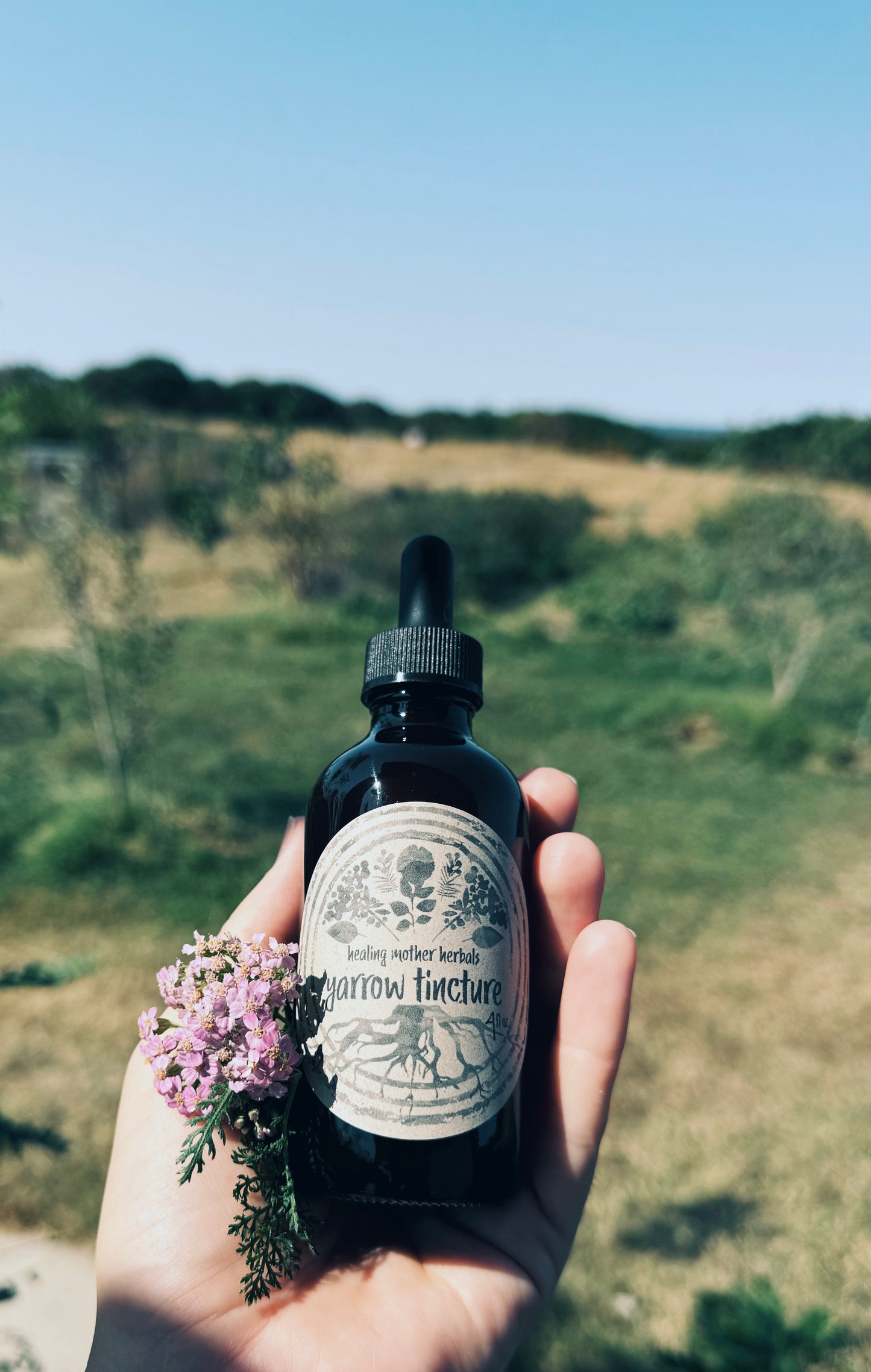 Yarrow Tincture