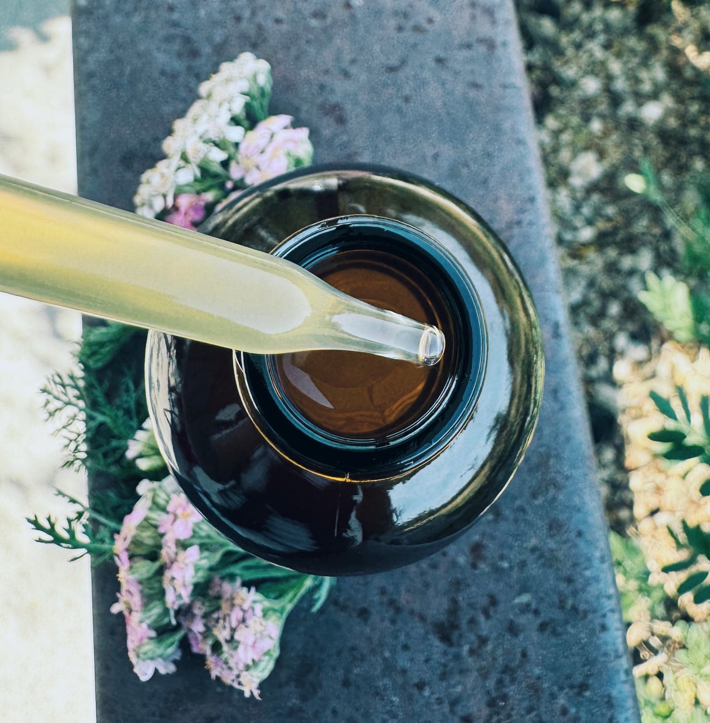 Yarrow Tincture