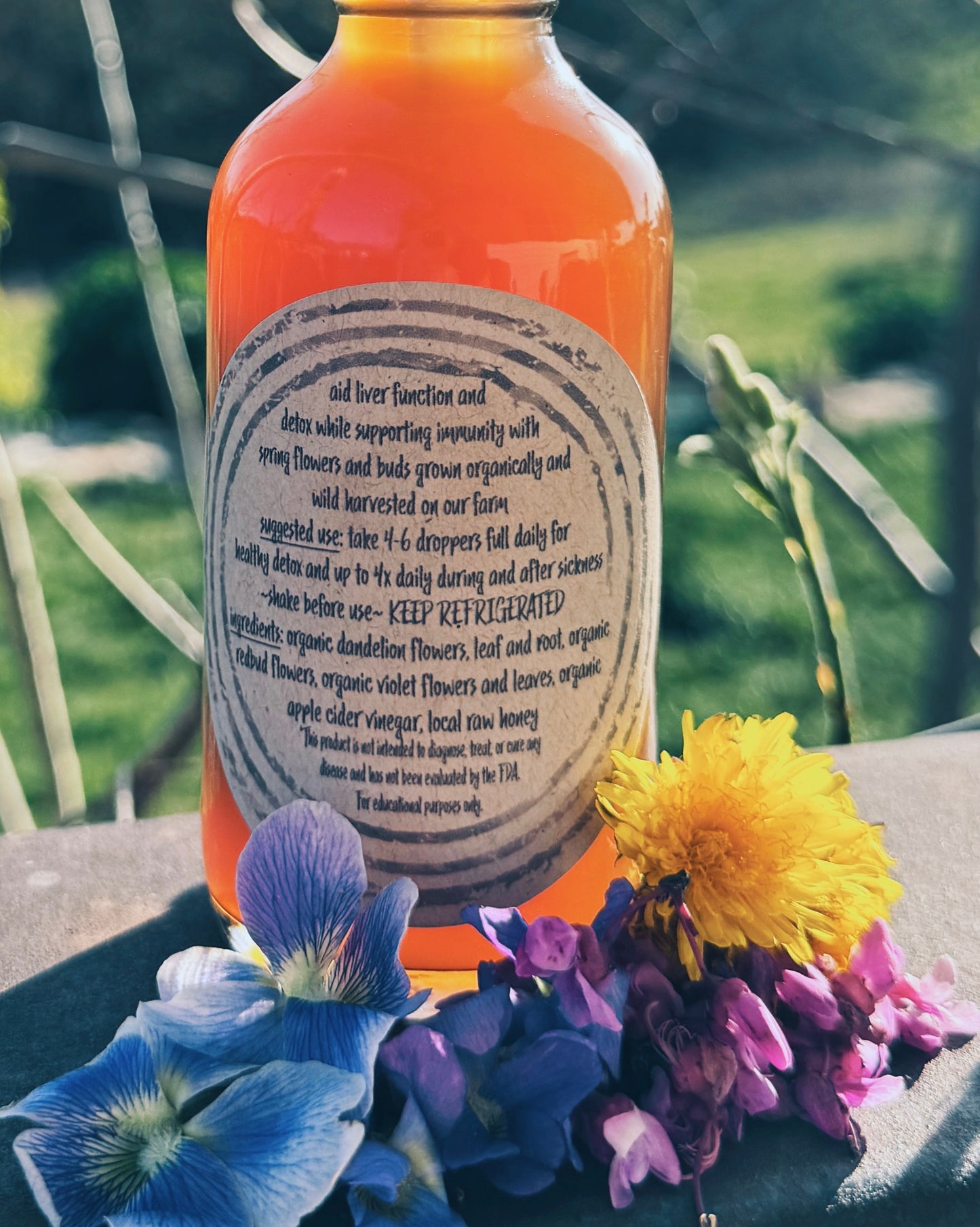 Dandy Detox Oxymel