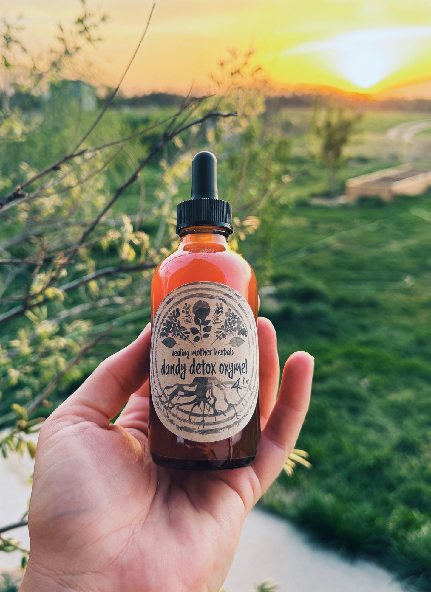 Dandy Detox Oxymel