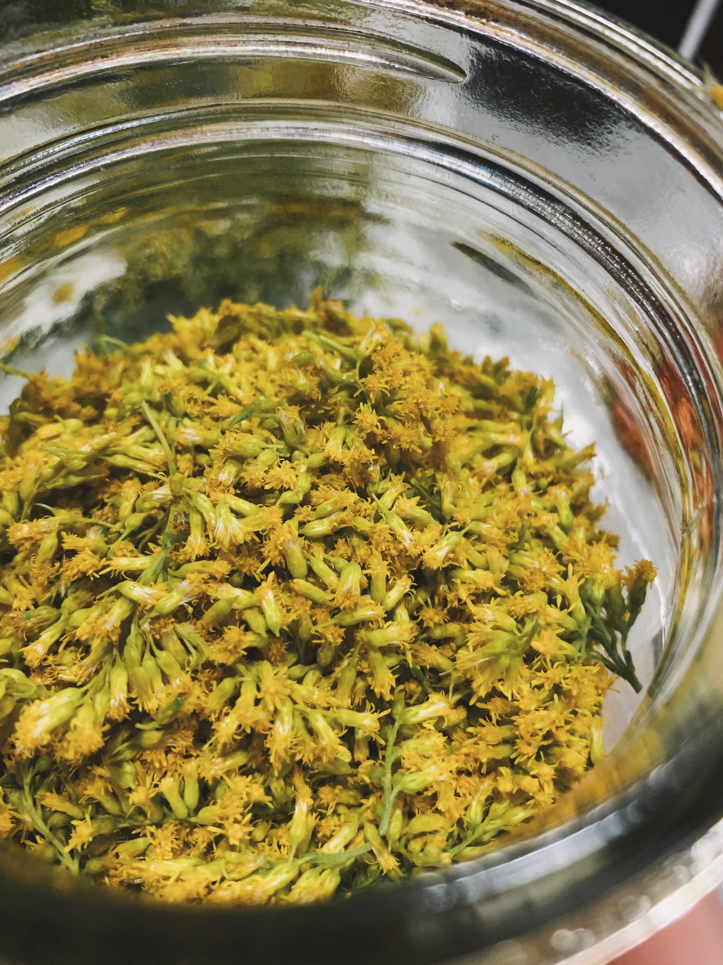 Immunity Balance Tincture