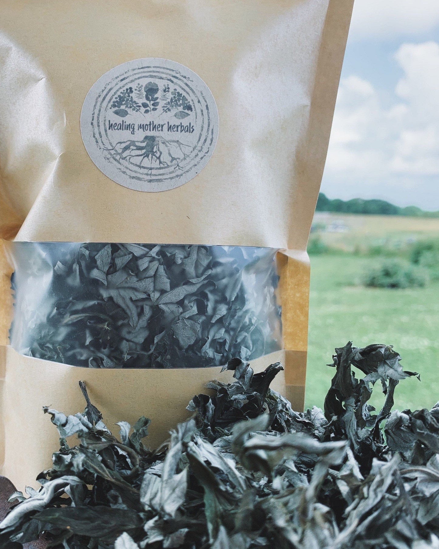 Dried Mugwort Leaves and Flowers