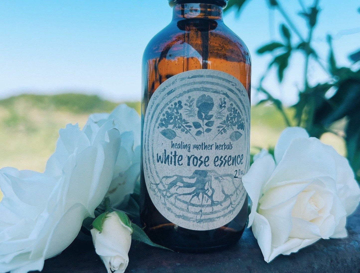 White Rose Flower Essence