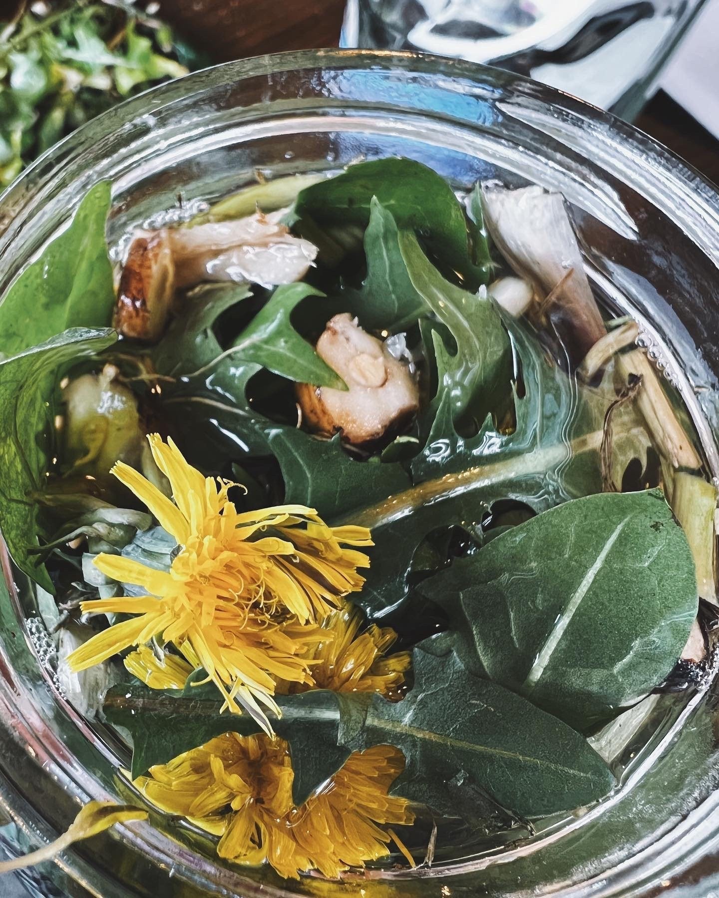Dandelion Tincture
