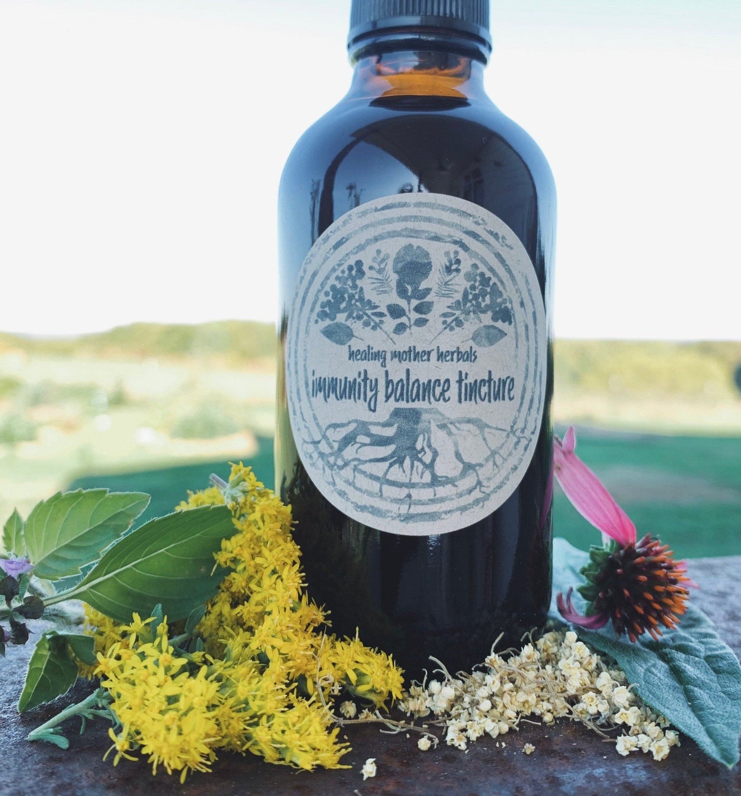 Immunity Balance Tincture