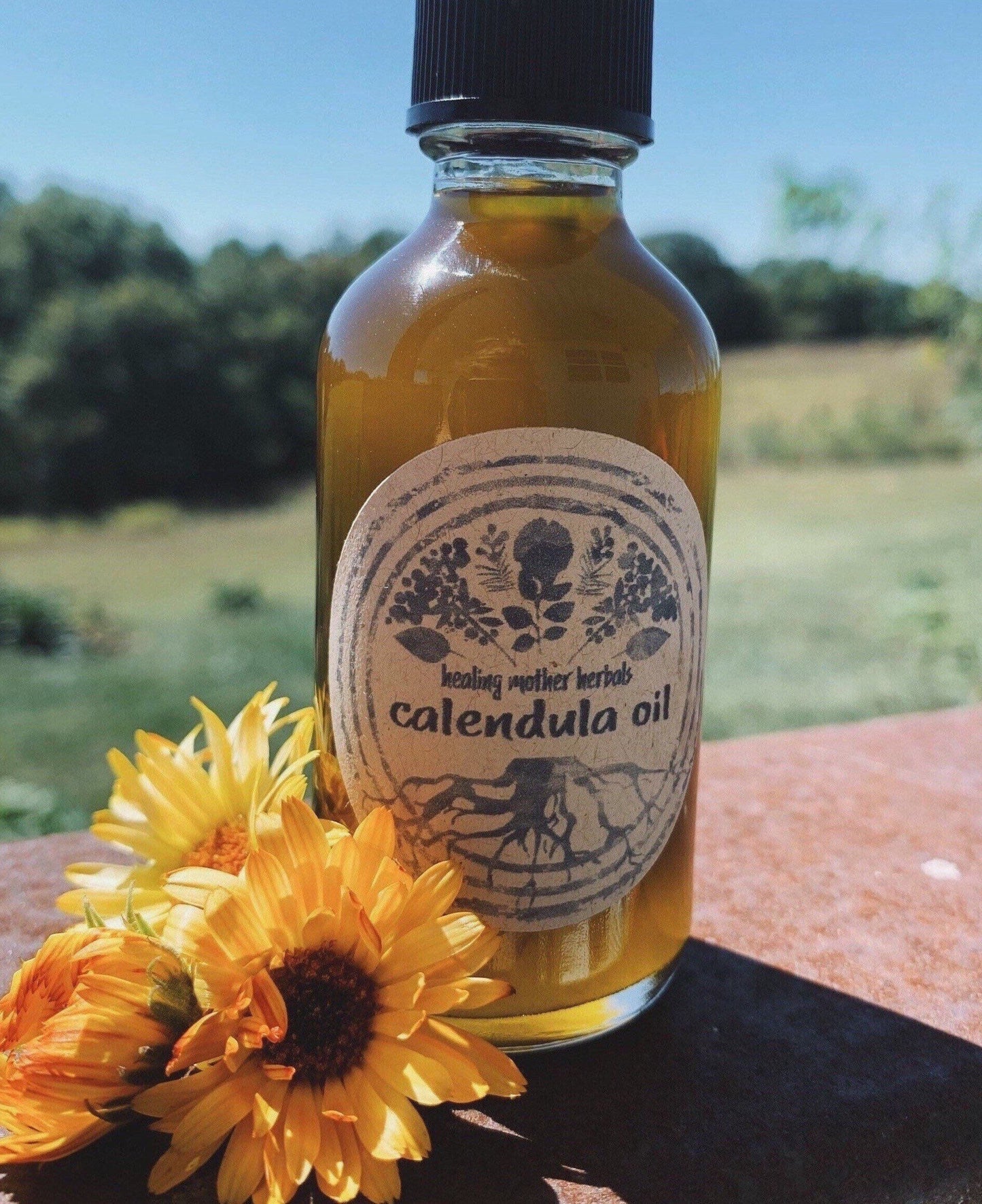 Calendula Oil