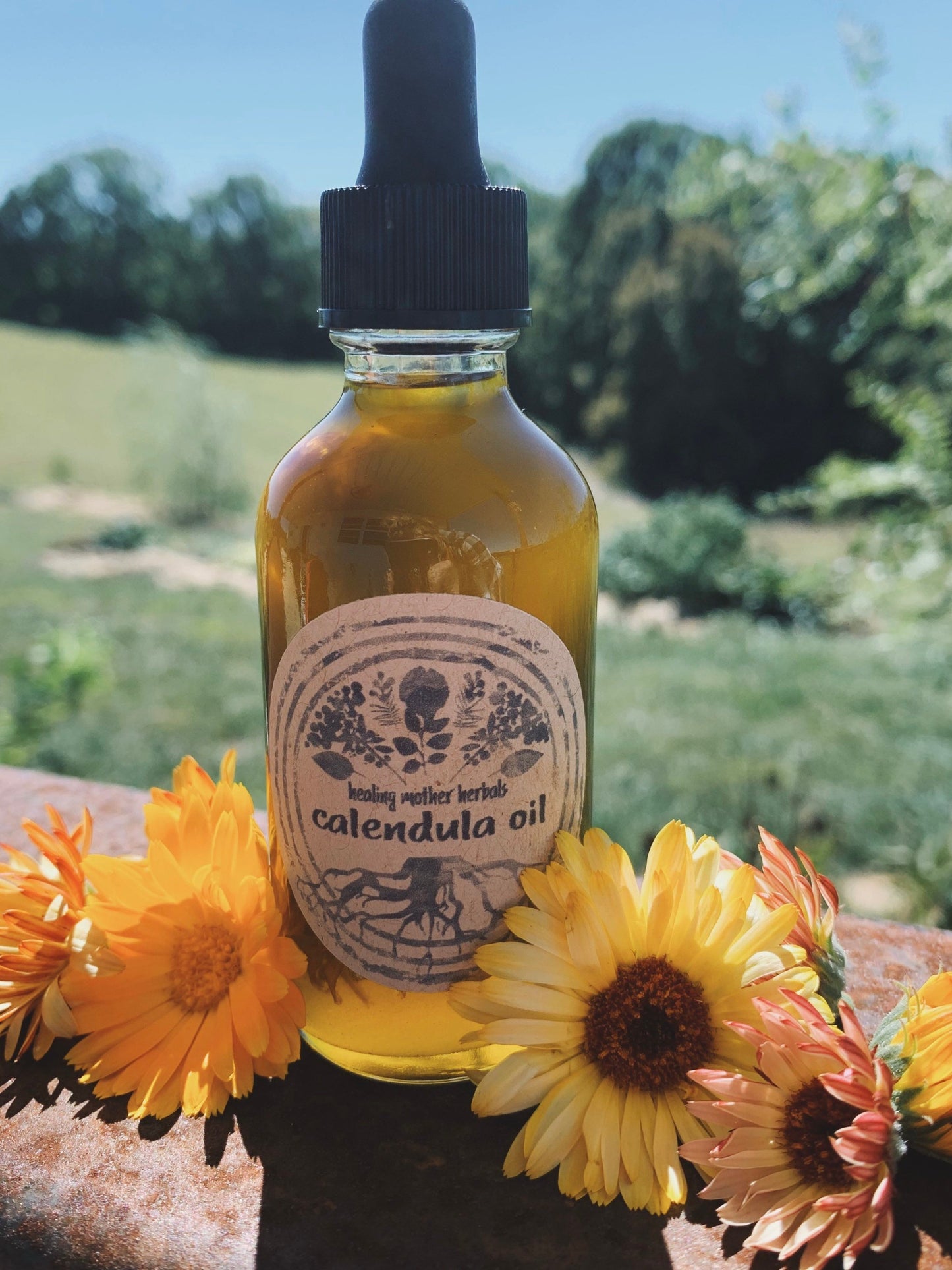 Calendula Oil