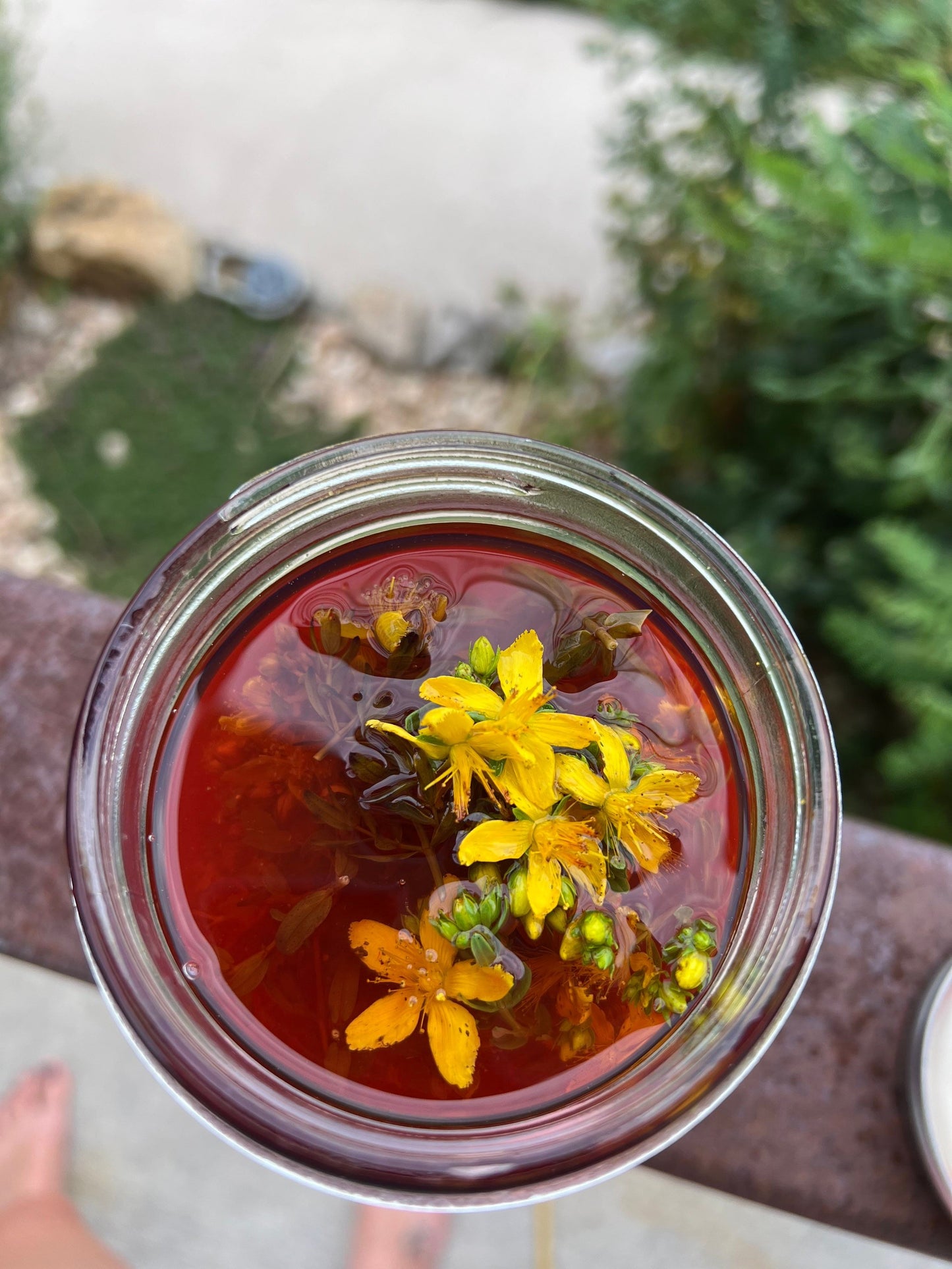 Happy Human Tincture