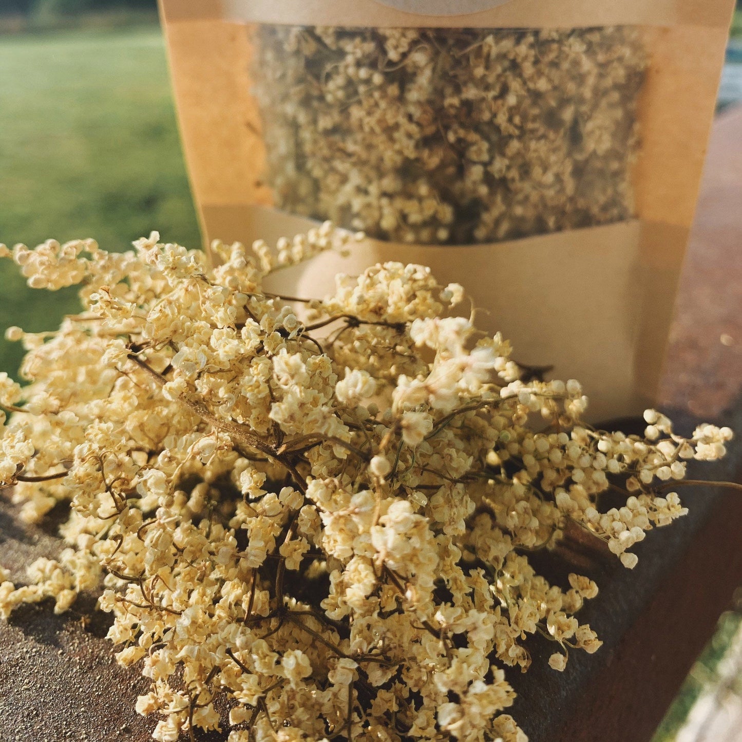 Dried Elderflowers
