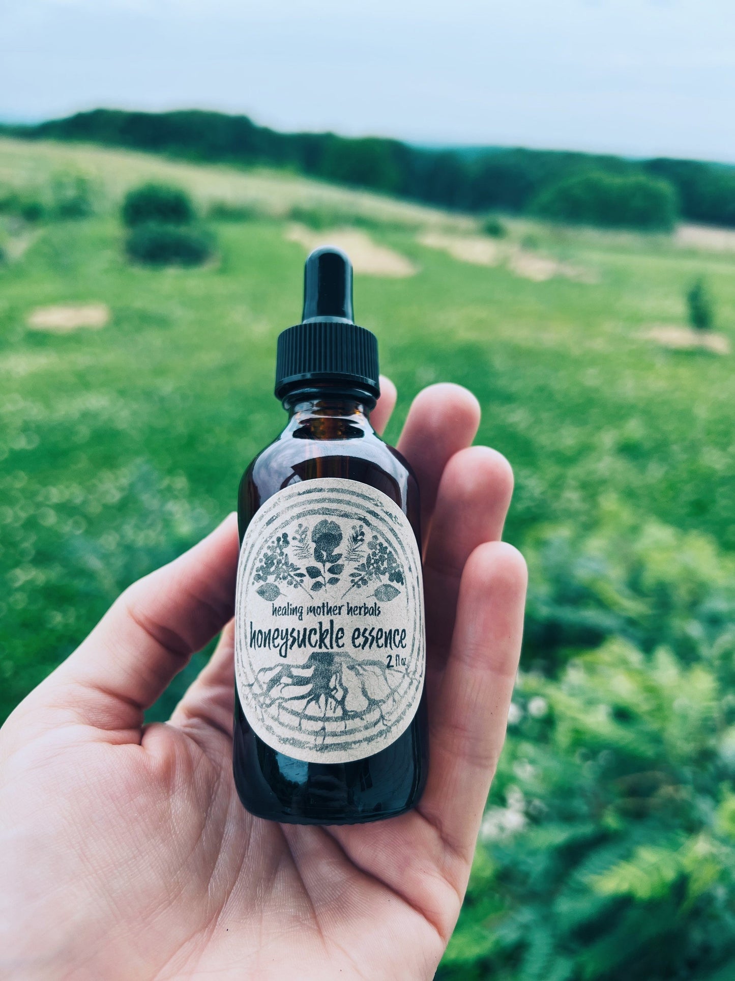 Honeysuckle Flower Essence