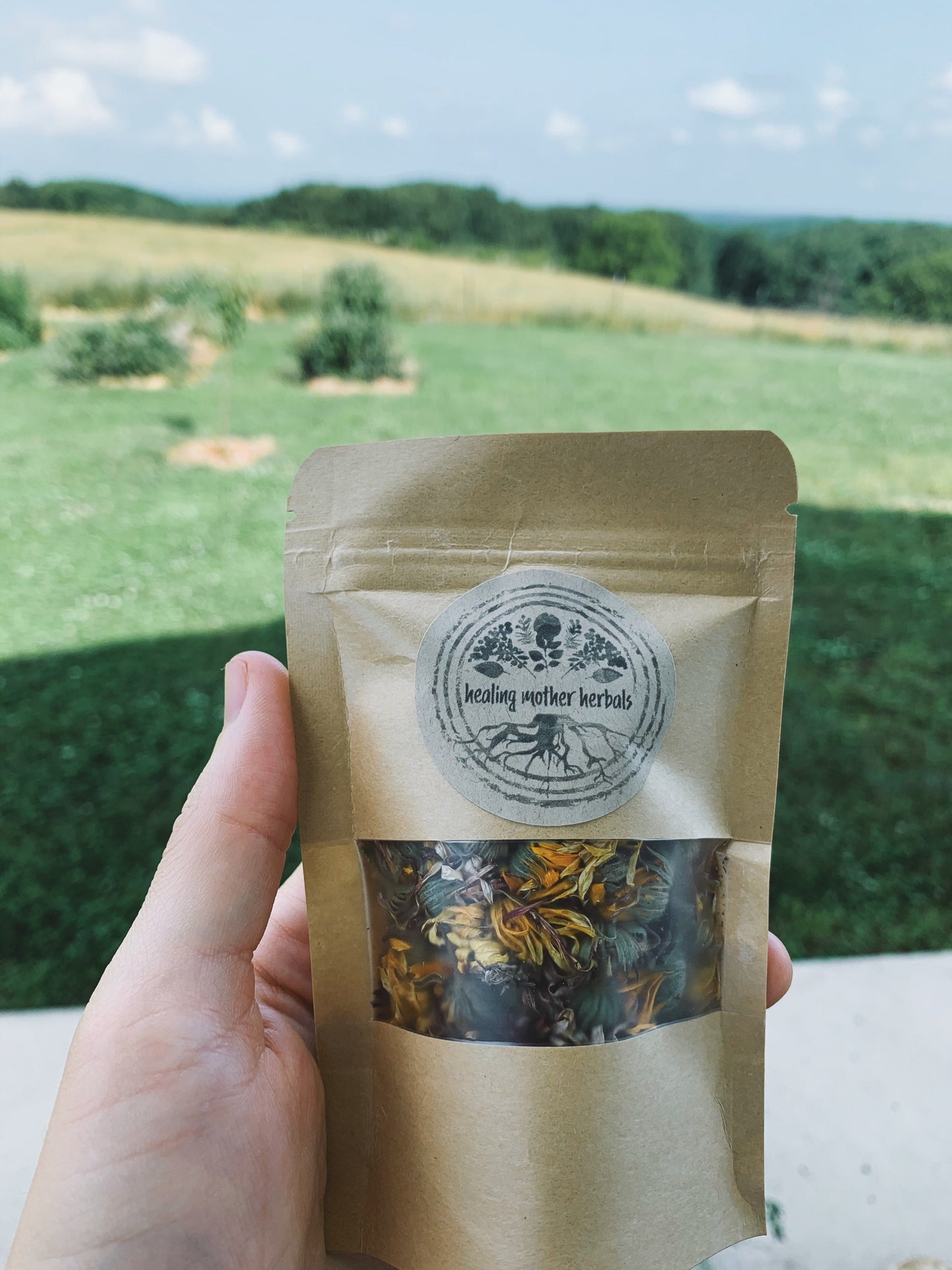 Dried Calendula Flowers