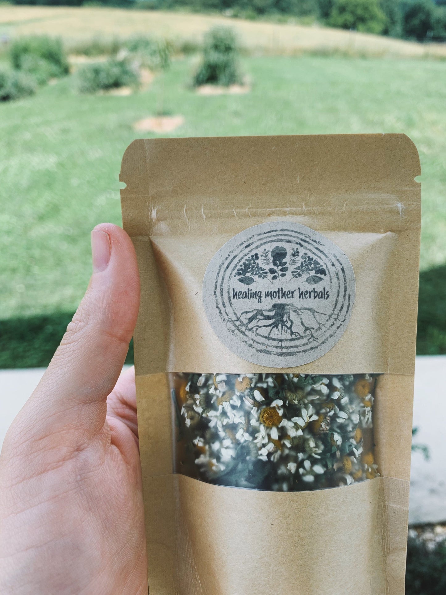 Dried Feverfew Flowers and Leaves
