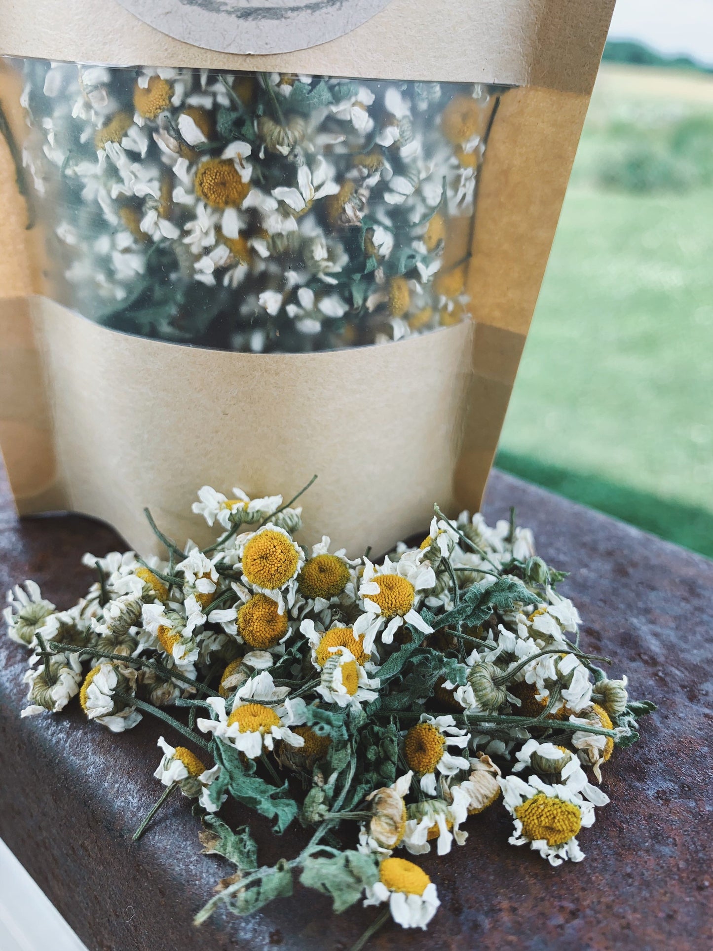 Dried Feverfew Flowers and Leaves