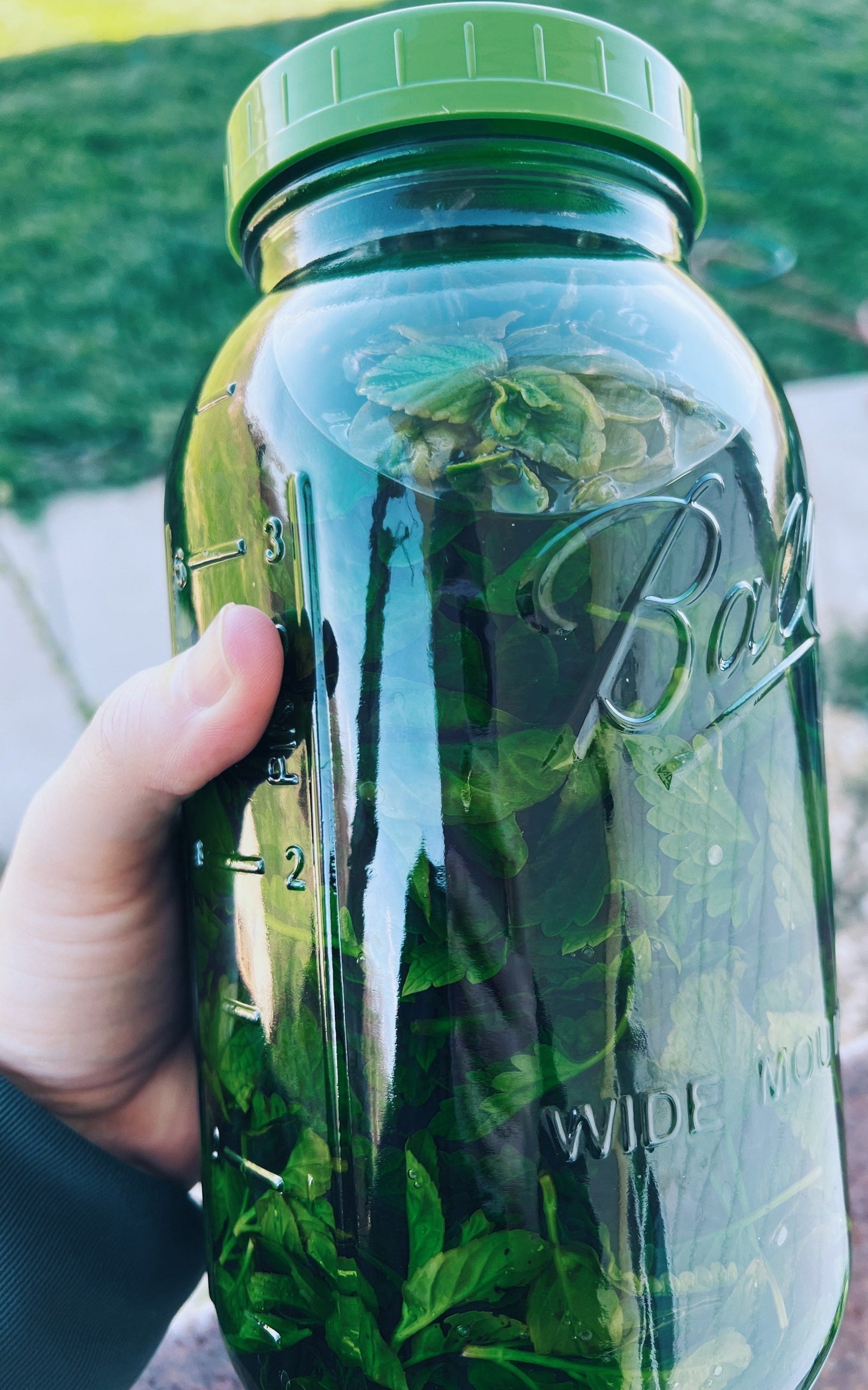 Gut Goodness Tincture