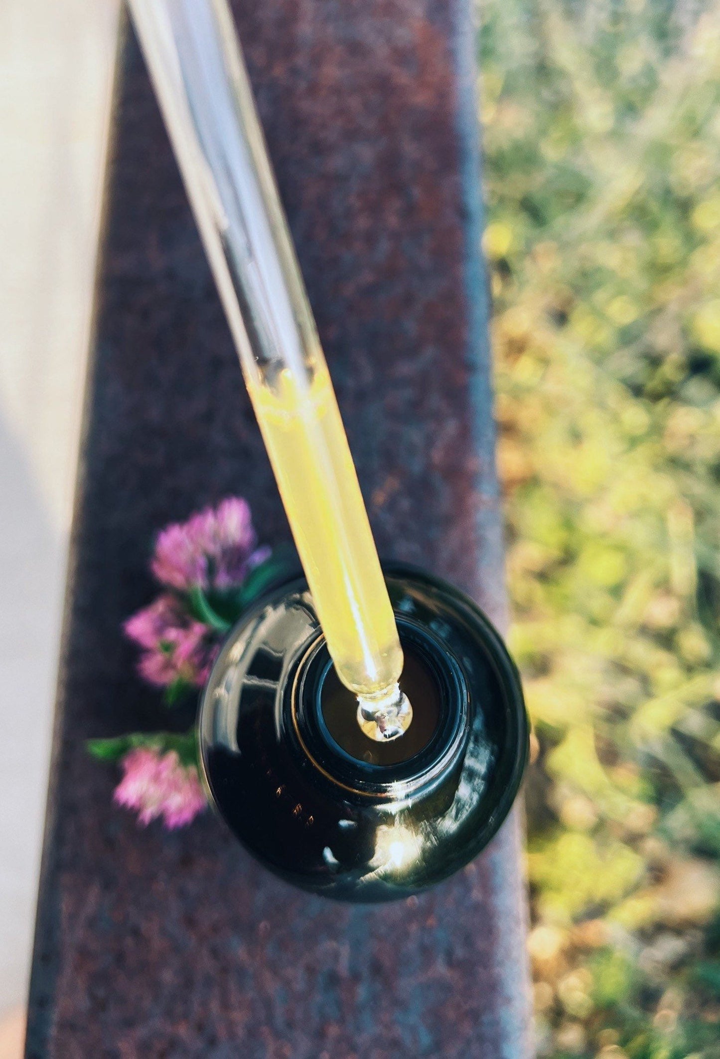 Red Clover Tincture