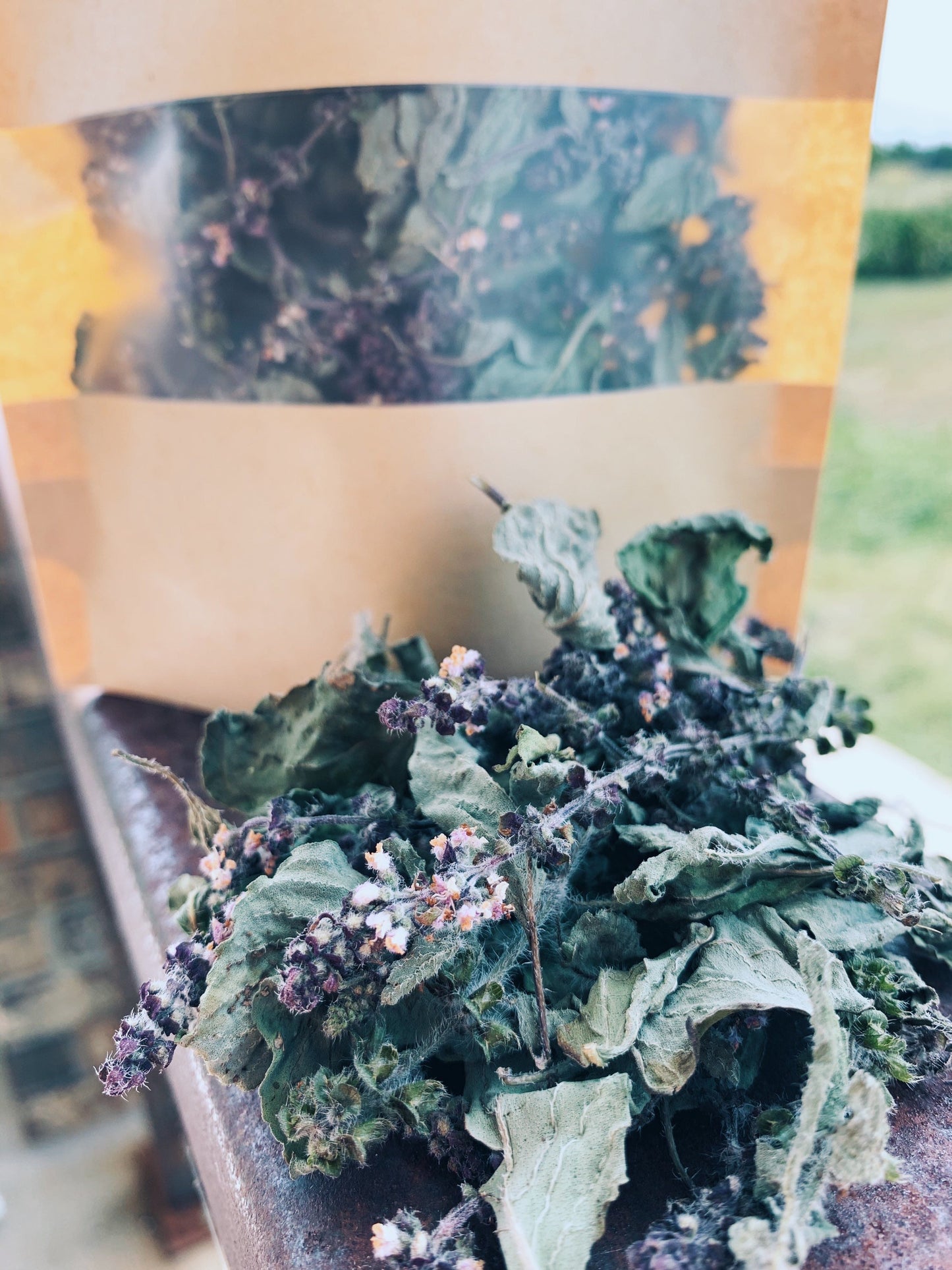 Dried Tulsi Leaves and Flowers