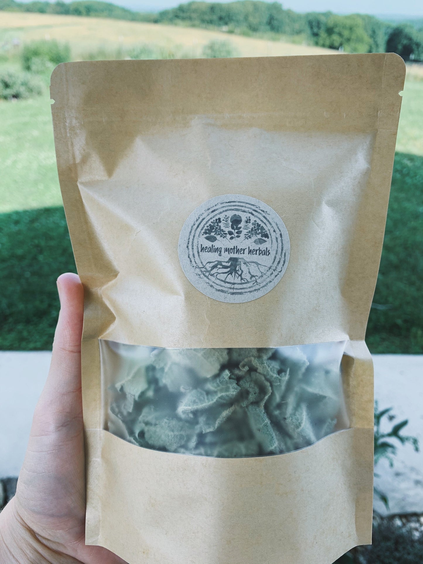 Dried Mullein Leaves