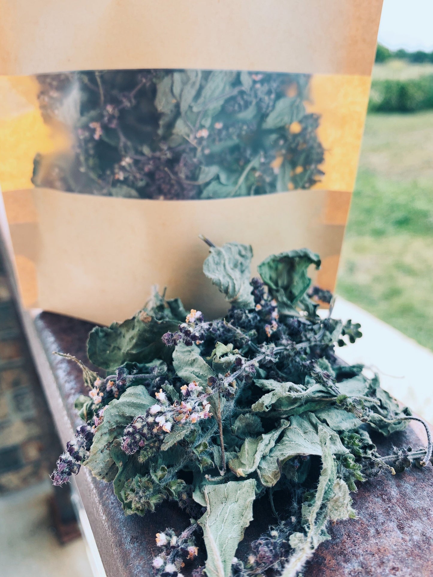 Dried Tulsi Leaves and Flowers
