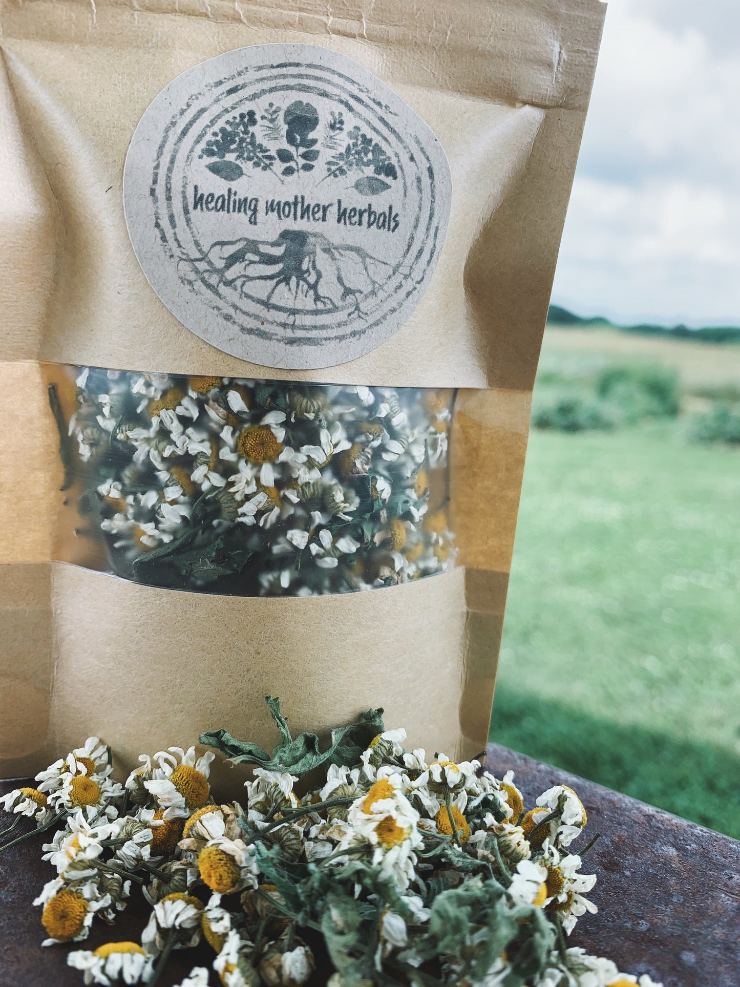 Dried Feverfew Flowers and Leaves