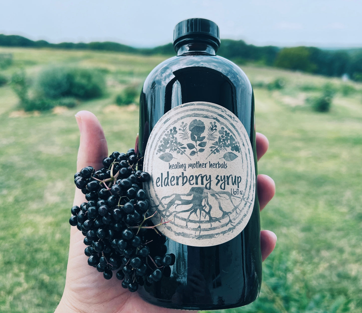 Elderberry Syrup