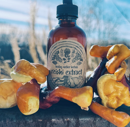 Reishi Extract