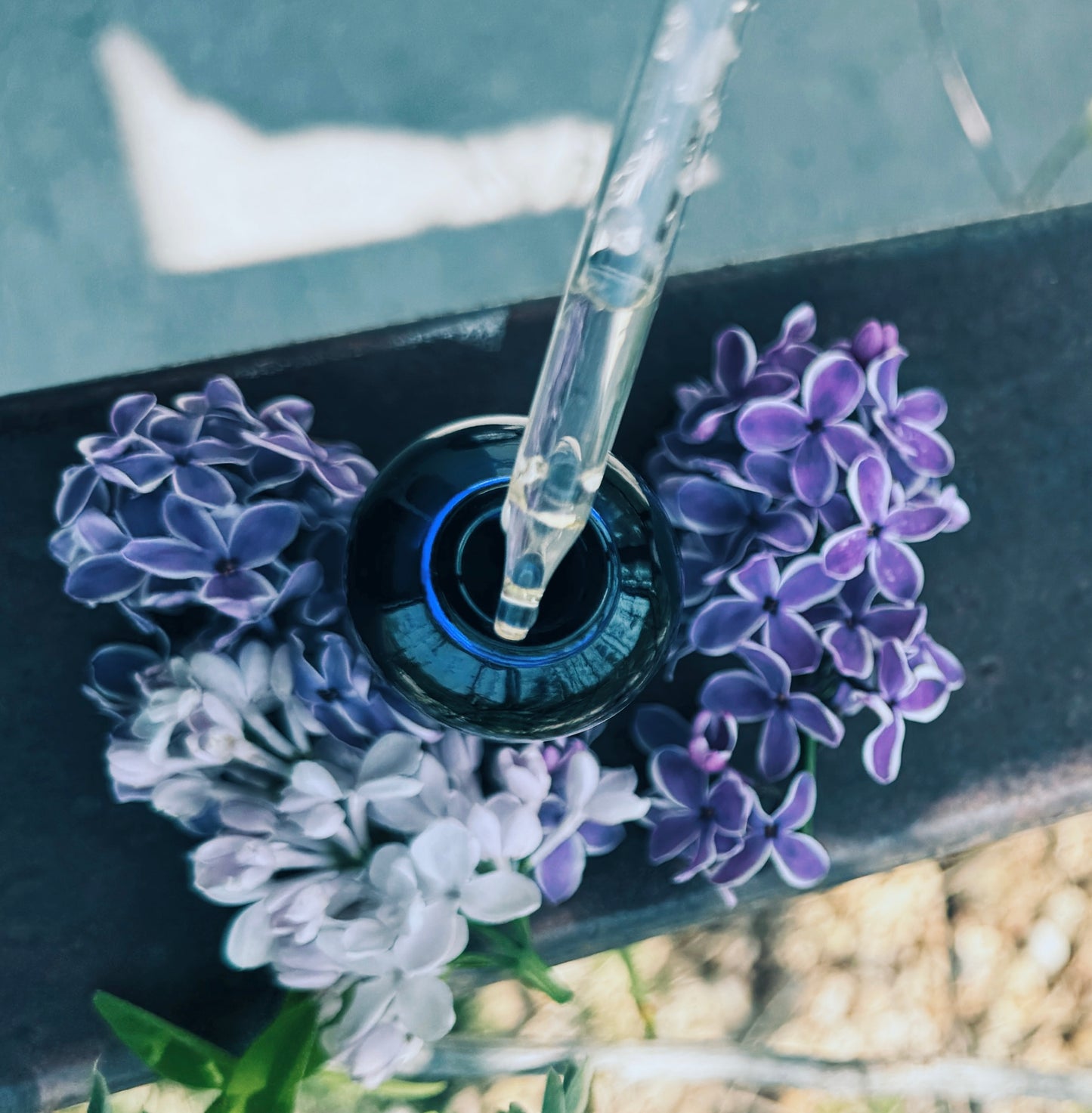 Lilac Flower Essence