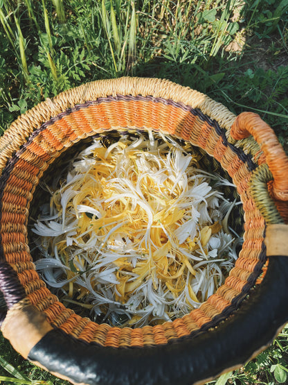 Honeysuckle Tincture