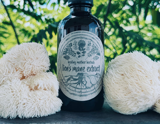 Lion’s Mane Extract