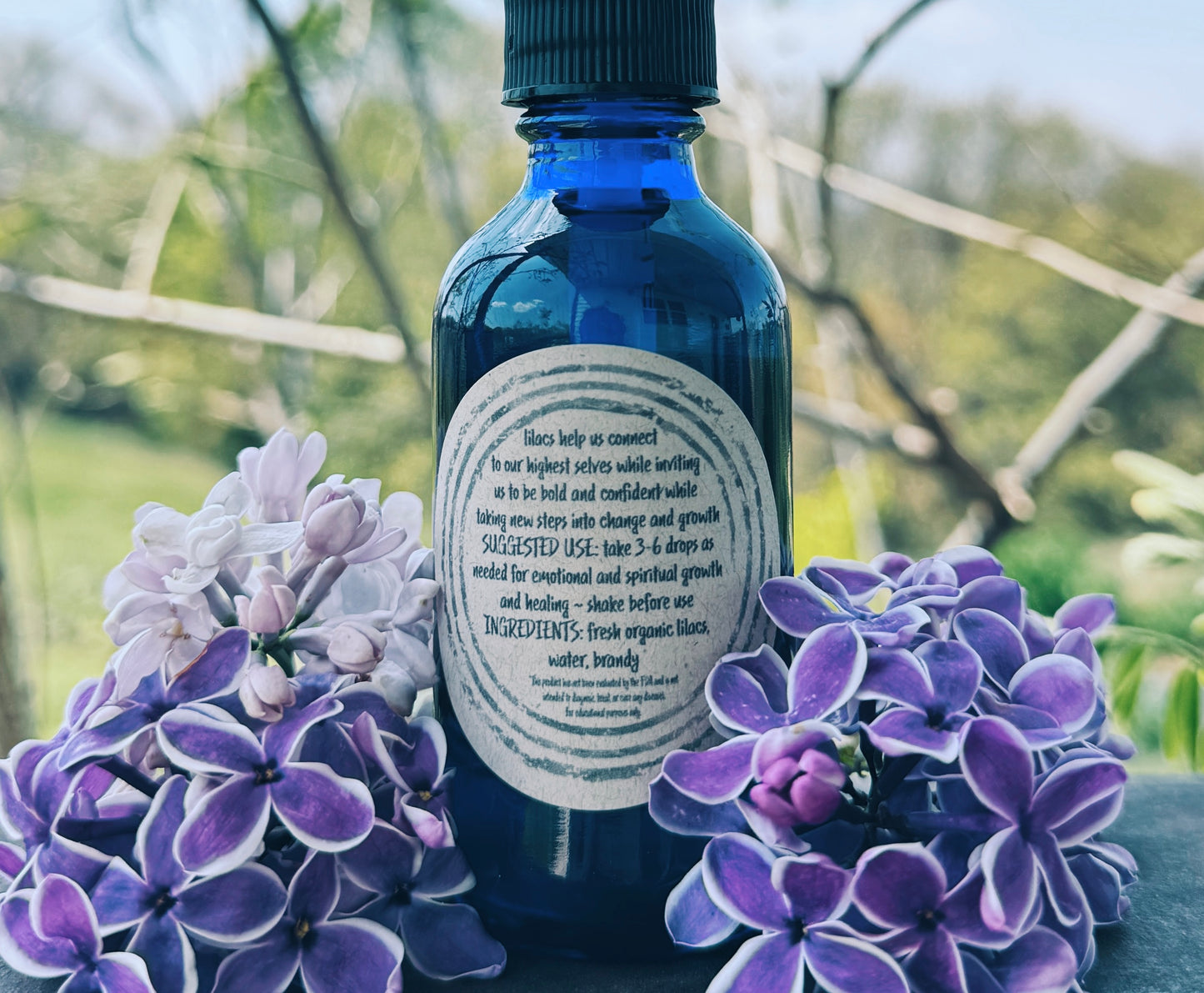 Lilac Flower Essence