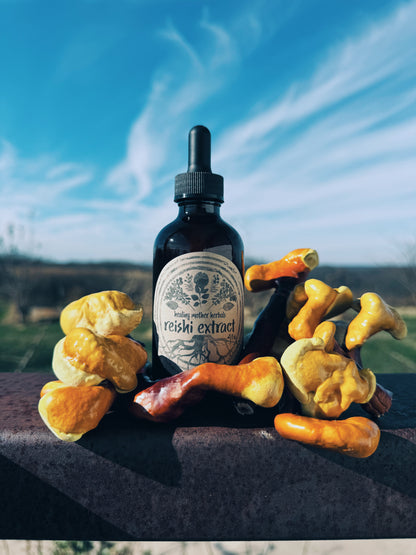 Reishi Extract