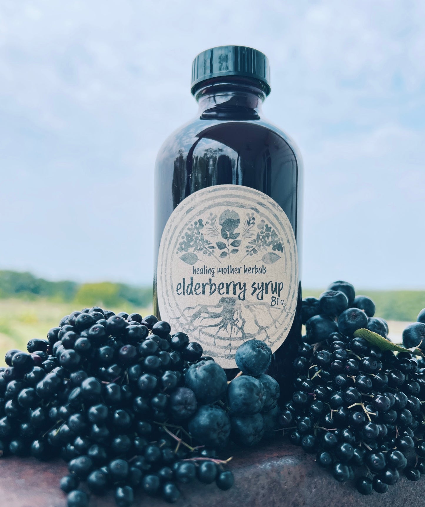 Elderberry Syrup