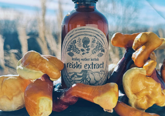 Reishi Extract