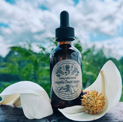 Magnolia Flower Essence