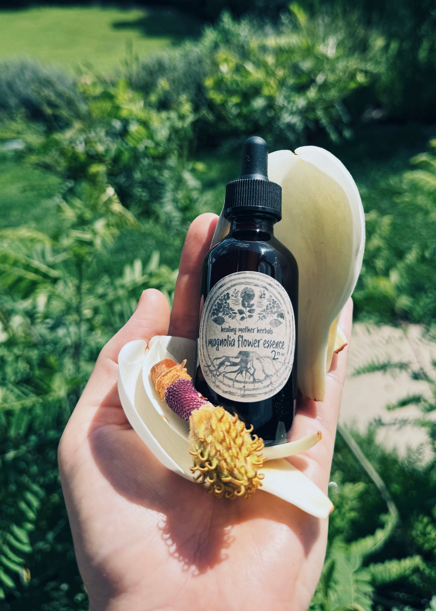 Magnolia Flower Essence