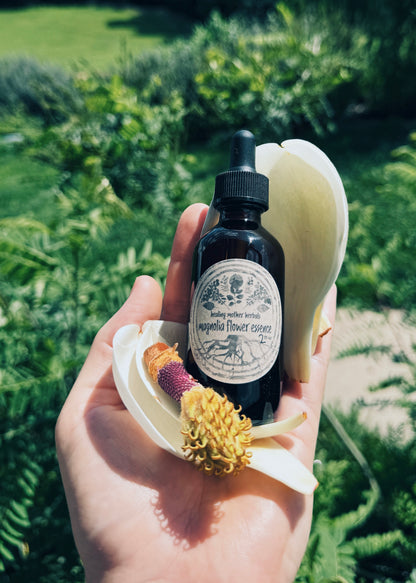 Magnolia Flower Essence