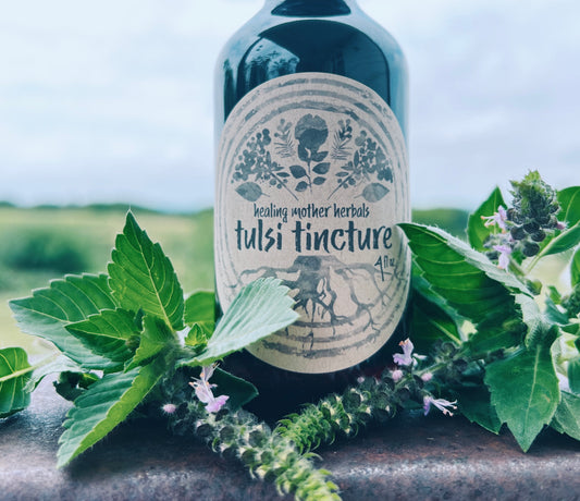 Tulsi Tincture