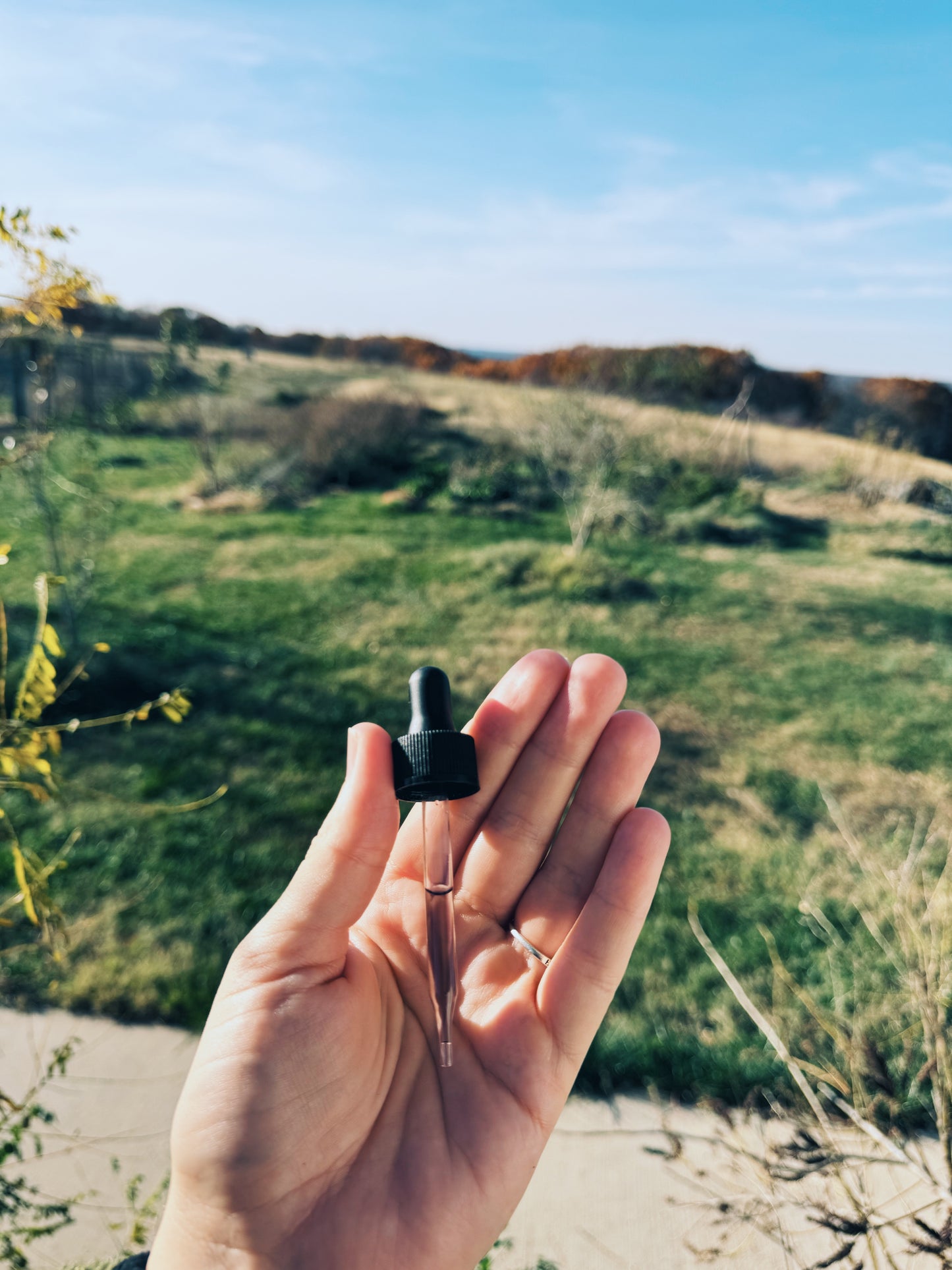 Ghost Pipe Tincture