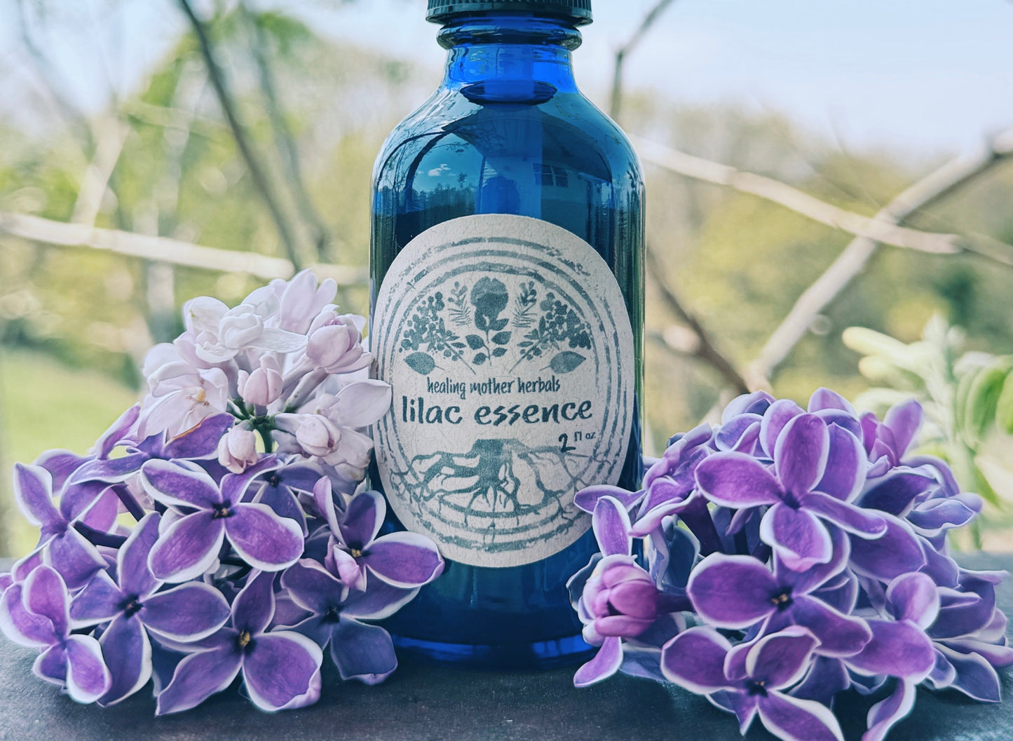 Lilac Flower Essence