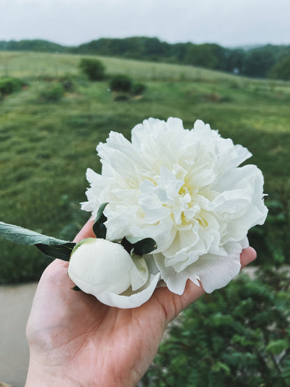 Peony Tincture