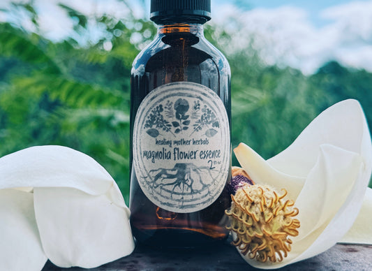 Magnolia Flower Essence