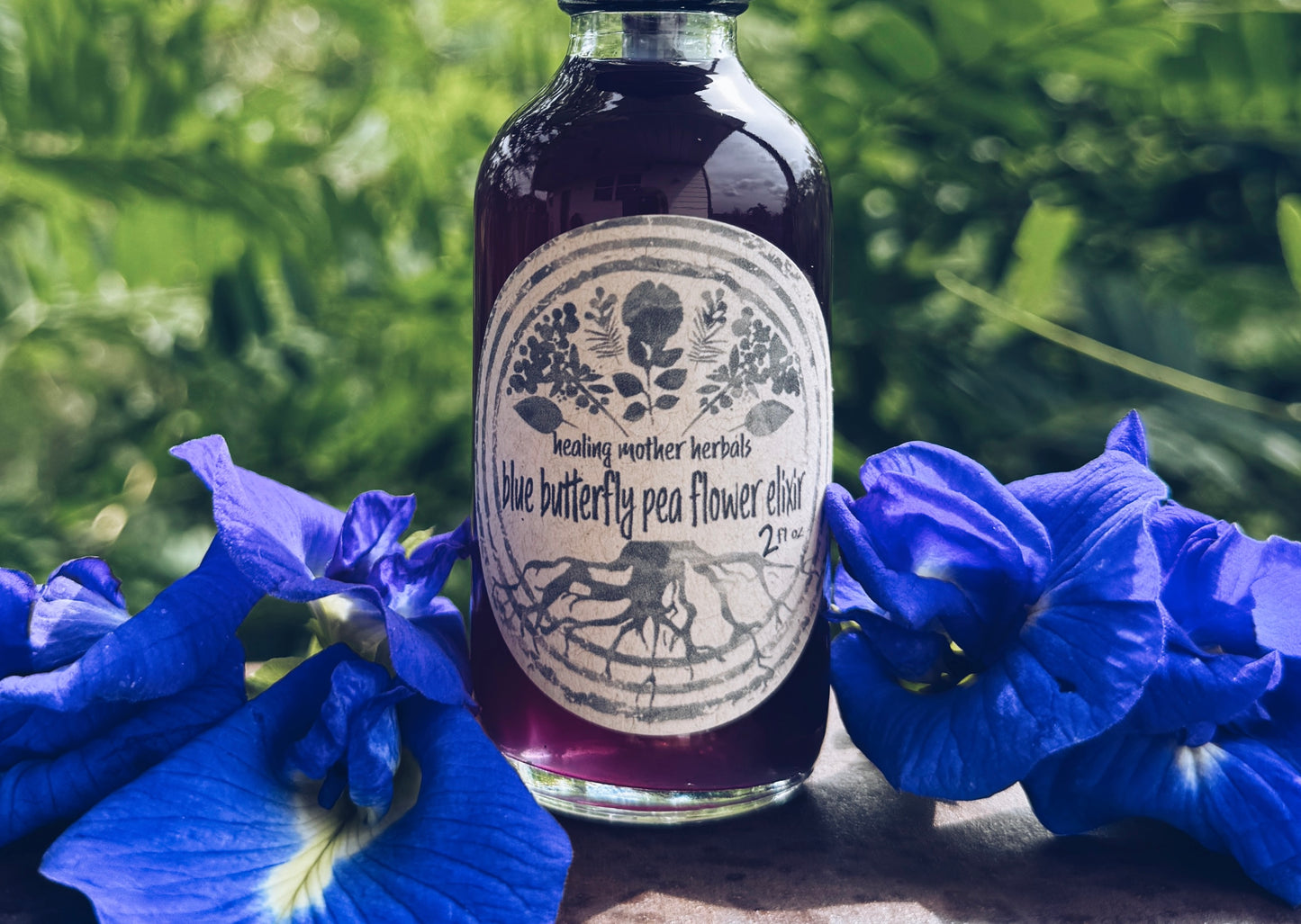 Blue Butterfly Pea Flower Elixir