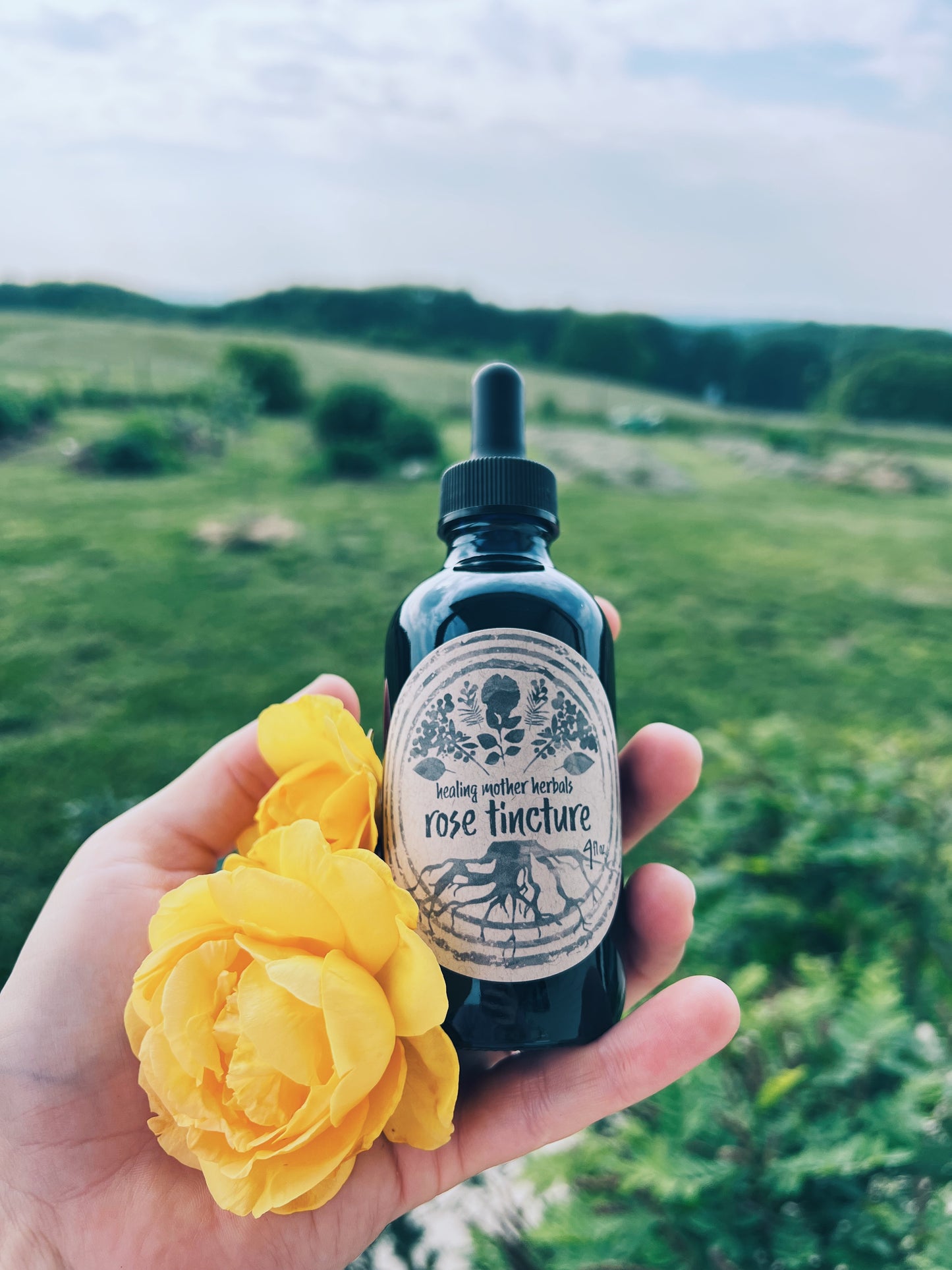 Rose Tincture