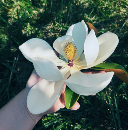 Magnolia Flower Essence