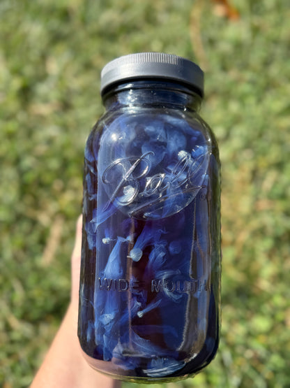 Blue Butterfly Pea Flower Elixir