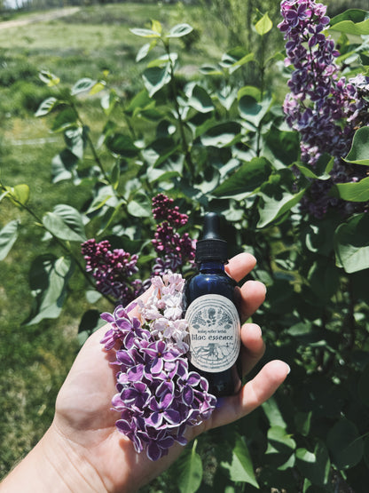 Lilac Flower Essence