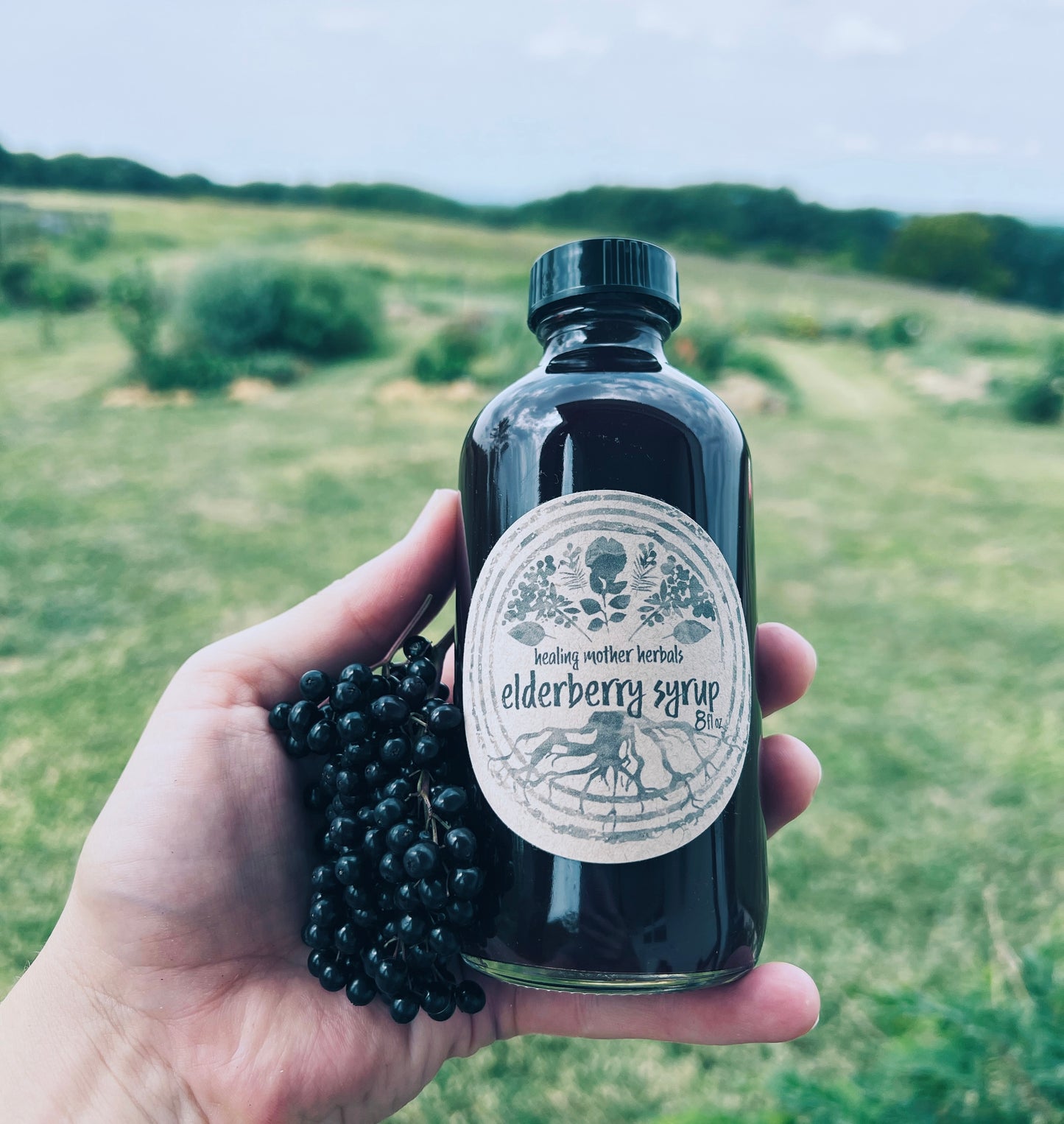 Elderberry Syrup