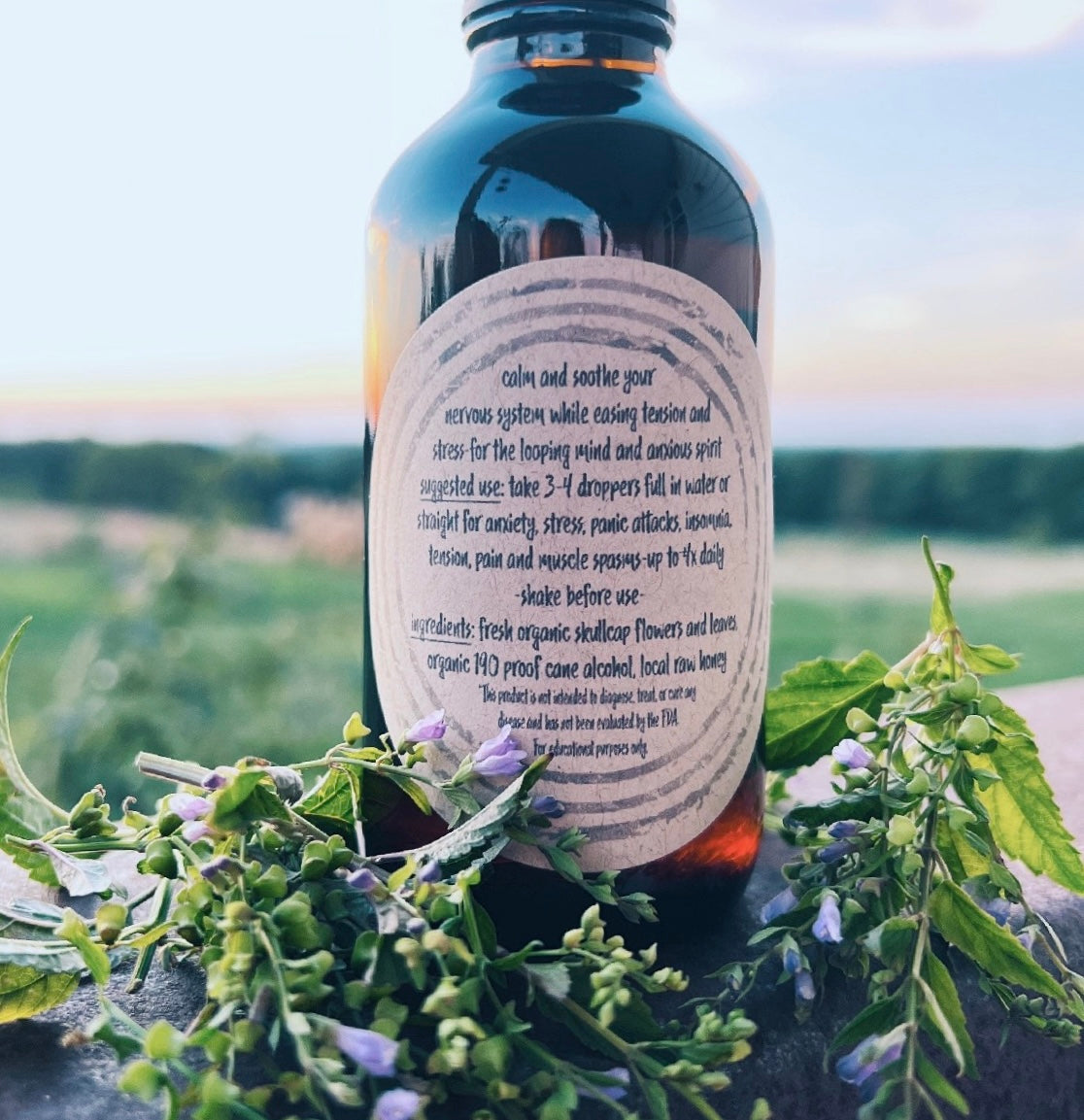 Skullcap Tincture