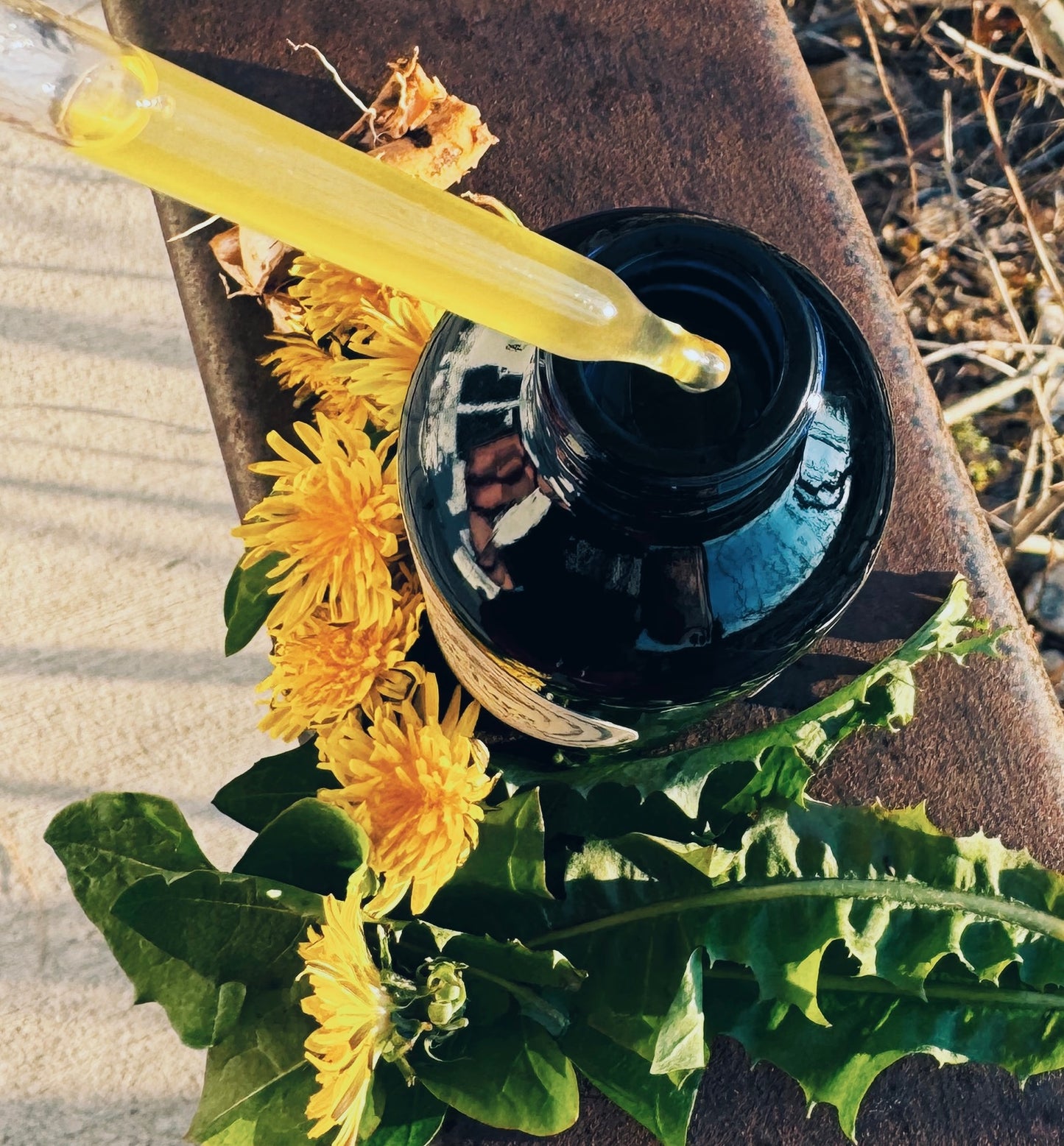 Dandelion Tincture