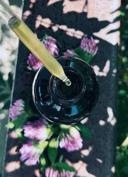 Lymph Lover Tincture